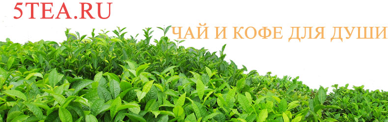 5tea.ru интернет-магазин чая и кофе